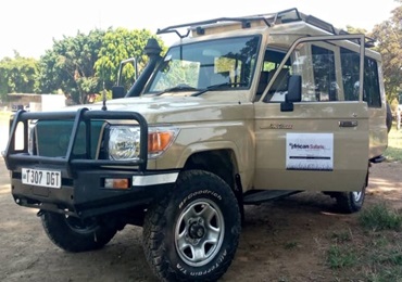 safari-inside-african-safaris-drive